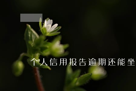 个人信用报告逾期还能坐高铁吗 个人信用报告逾期还能坐高铁吗