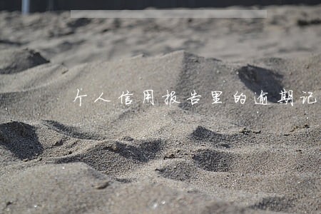 个人信用报告里的逾期记录 个人信用报告里的逾期记录
