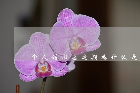 个人信用无逾期为什么是D级 个人信用无逾期为什么是D级