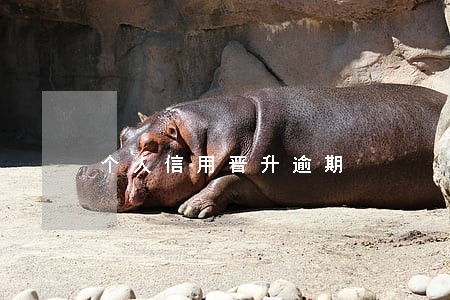 个人信用晋升逾期 个人信用晋升逾期