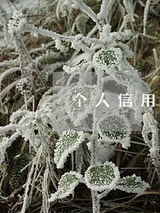 个人信用有4次逾期贷款 个人信用有4次逾期贷款