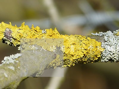 个人信用有一个短期逾期影响大吗 个人信用有一个短期逾期影响大吗