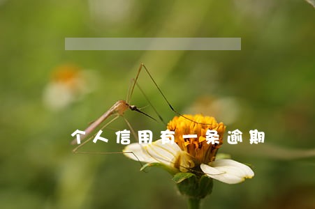 个人信用有一条逾期 个人信用有一条逾期