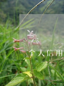 个人信用有个逾期怎么申诉 个人信用有个逾期怎么申诉