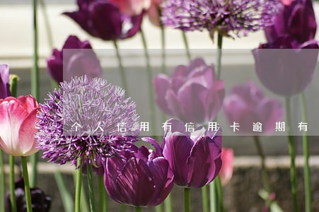 个人信用有信用卡逾期有影响么