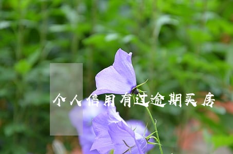 个人信用有过逾期买房