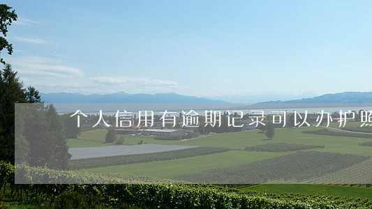 个人信用有逾期记录可以办护照吗 个人信用有逾期记录可以办护照吗