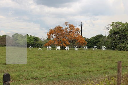 个人信用有逾期还款 个人信用有逾期还款