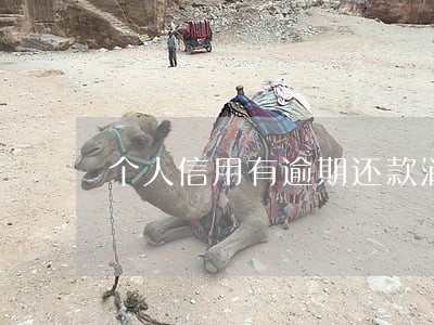 个人信用有逾期还款消除 个人信用有逾期还款消除