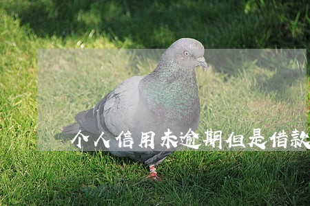 个人信用未逾期但是借款很多 个人信用未逾期但是借款很多