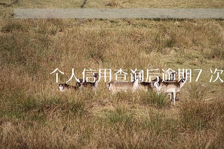 个人信用查询后逾期7次 个人信用查询后逾期7次