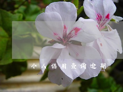 个人信用查询逾期 个人信用查询逾期