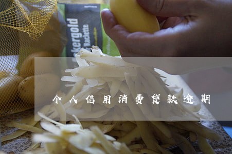 个人信用消费贷款逾期