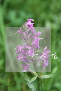 个人信用记录1个月逾期