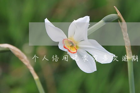 个人信用记录有多次逾期 个人信用记录有多次逾期