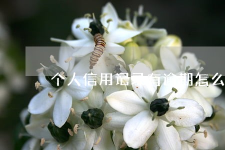 个人信用记录有逾期怎么消除 个人信用记录有逾期怎么消除