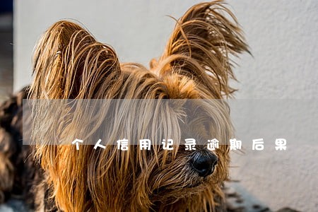 个人信用记录逾期后果 个人信用记录逾期后果