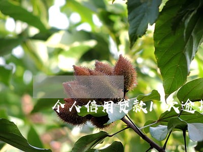 个人信用贷款1次逾期 个人信用贷款1次逾期