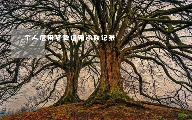 个人信用贷款信用逾期记录 个人信用贷款信用逾期记录