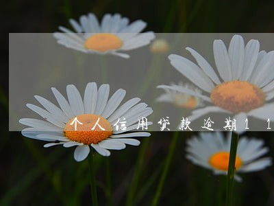 个人信用贷款逾期11次 个人信用贷款逾期11次