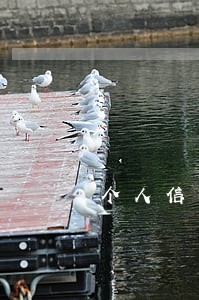 个人信用贷款逾期1天