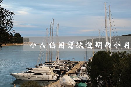 个人信用贷款逾期两个月 个人信用贷款逾期两个月