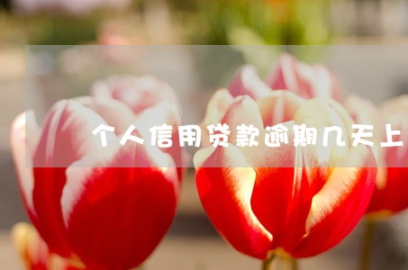个人信用贷款逾期几天上征信 个人信用贷款逾期几天上征信