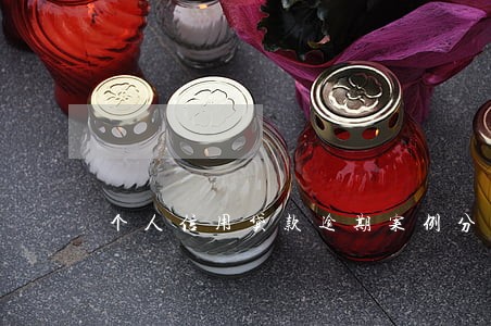 个人信用贷款逾期案例分析