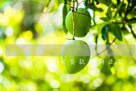 个人信用贷款逾期还款后果如何 个人信用贷款逾期还款后果如何