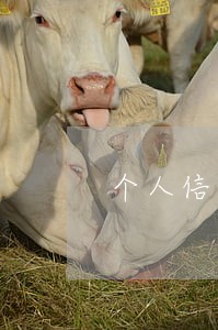 个人信用贷逾期3次怎么办 个人信用贷逾期3次怎么办
