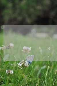 个人信用逾期16次 个人信用逾期16次