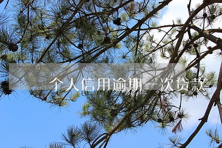 个人信用逾期一次贷款 个人信用逾期一次贷款