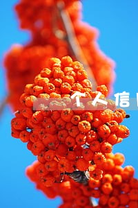 个人信用逾期不能买车票么