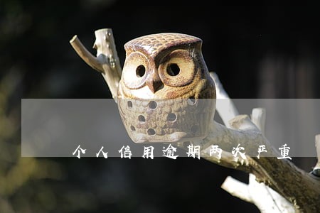 个人信用逾期两次严重 个人信用逾期两次严重