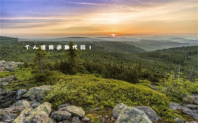 个人信用逾期代码1 个人信用逾期代码1