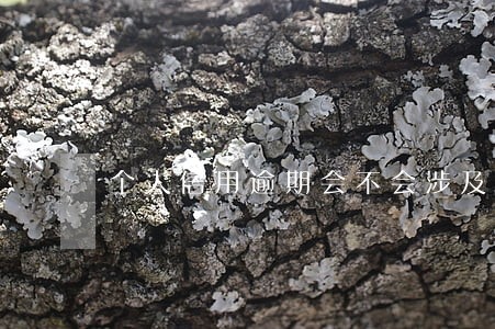 个人信用逾期会不会涉及到家人 个人信用逾期会不会涉及到家人