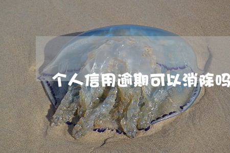 个人信用逾期可以消除吗