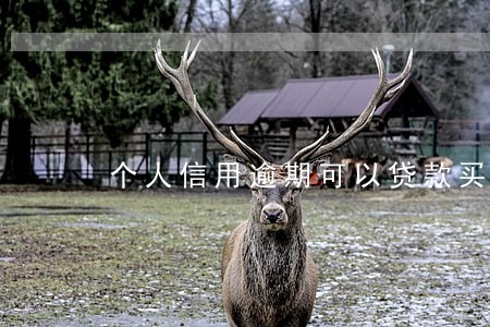 个人信用逾期可以贷款买房吗 个人信用逾期可以贷款买房吗