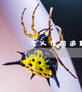个人信用逾期多久上征信 个人信用逾期多久上征信