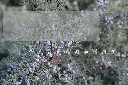个人信用逾期如何修改 个人信用逾期如何修改