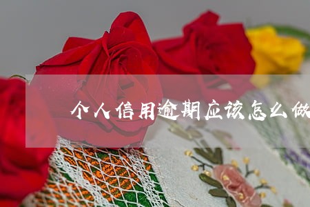 个人信用逾期应该怎么做 个人信用逾期应该怎么做