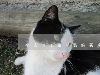 个人信用逾期影响买房子 个人信用逾期影响买房子