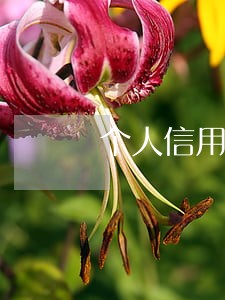 个人信用逾期影响公司