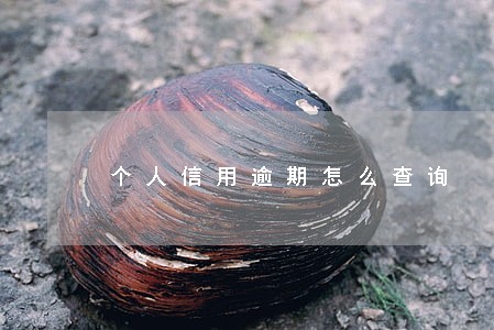 个人信用逾期怎么查询 个人信用逾期怎么查询