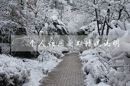 个人信用逾期情况说明