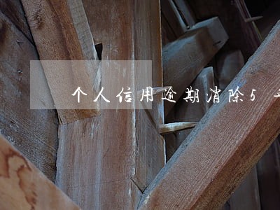 个人信用逾期消除5年 个人信用逾期消除5年