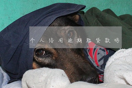 个人信用逾期能贷款吗 个人信用逾期能贷款吗