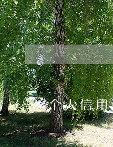 个人信用逾期记录什么情况会消除 个人信用逾期记录什么情况会消除