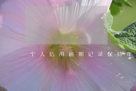 个人信用逾期记录保持年限几年 个人信用逾期记录保持年限几年