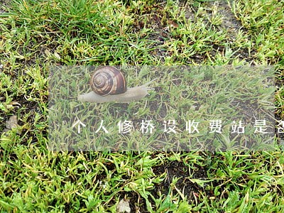 个人修桥设收费站是否违法 个人修桥设收费站是否违法
